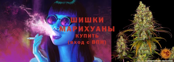 шишки Богданович