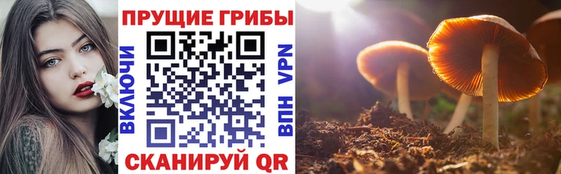 Псилоцибиновые грибы мицелий  Купить закладки  Медынь 