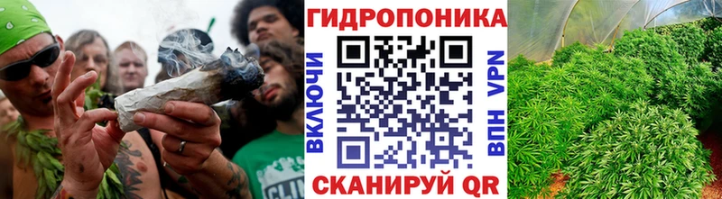 Бошки марихуана AK-47 Медынь